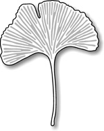 Stanzschablone Gingko Leaf