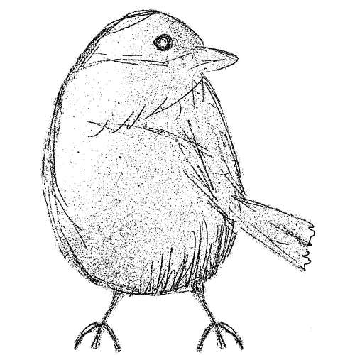 Cling - Sparrow Sketch
