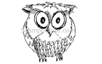 Wee Owl