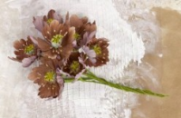 Lifetime - Brown Silkflowers