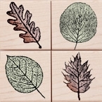 Small Leaf Impressions (Quattro)