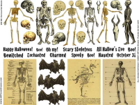 Collage-Sammlung "Enchanted Bones"