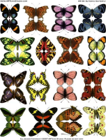 Collage-Sammlung "Butterfly"