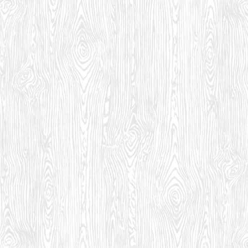 American Crafts Textured Cardstock - White Woodgrain