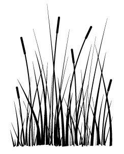 Cling - Large Cattails