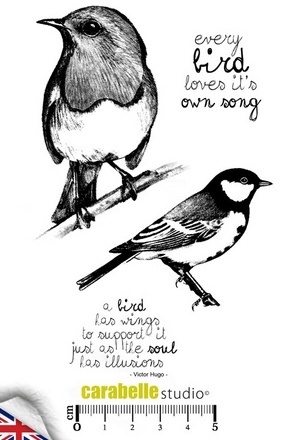 Every Bird