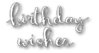 Stanzschablone Hip Birthday Wishes