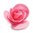 Stanzschablone Plush Classic Rose