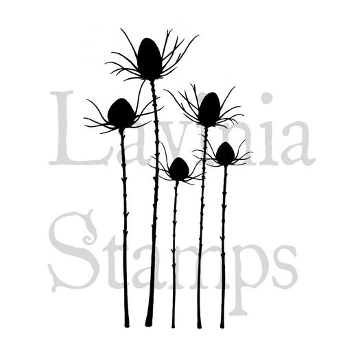 Silhouette Thistle