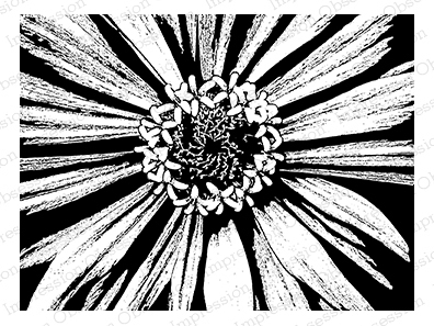 Cling - Abstract Zinnia