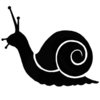 Mini Snail