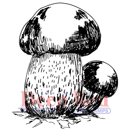 Cling - Porcini Mushroom