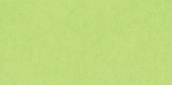 AC Cardstock Smooth Key Lime 12" x 12"