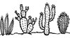 Cactus Row