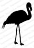 Cling - Flamingo Silhouette