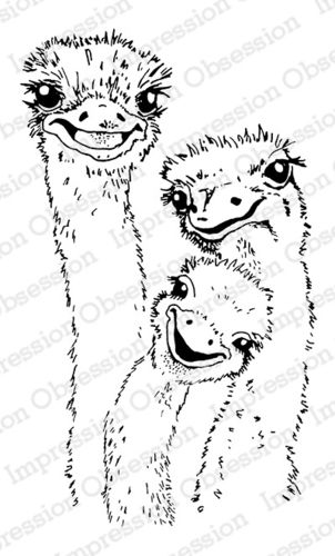 Cling - Ostrich Trio