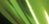 Tonic Studios Mirror Glossy Cardstock 8.5"X11" - Emerald Green