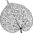 Schablone Skeletal Leaf 6" x 6"