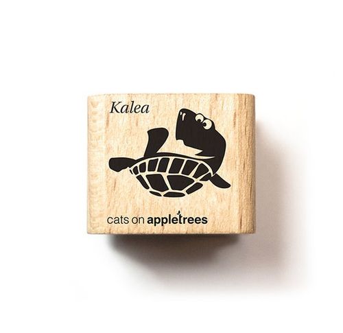 Wasser-Schildkröte Kalea