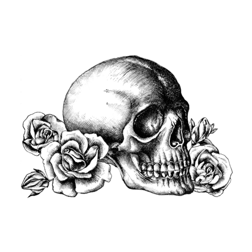 Skull n Roses