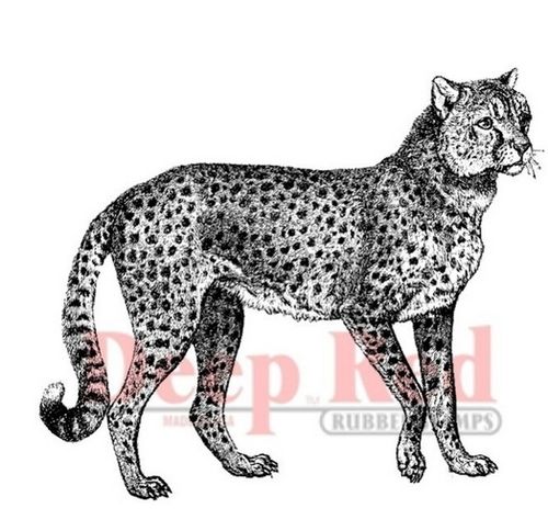 Cling - Cheetah