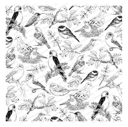 Cover-A-Card Sketched Birds