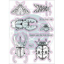 Clear Set The Emporium - Beetles