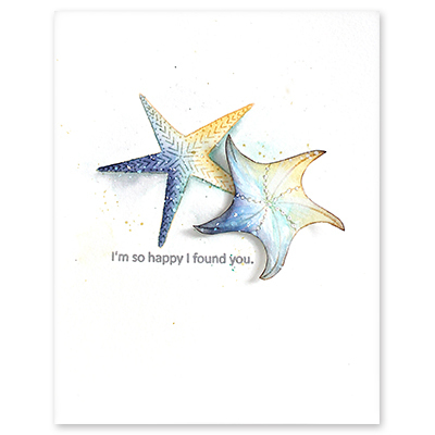 Clear - Starfish Wishes