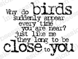 Cling - Why Do Birds