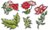 Clear Stamp & Die Bundle - Rosy Blooms