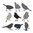 Sizzix Thinlits - Tim Holtz Silhouette Birds