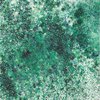 Cosmic Shimmer Pixie Burst Powder - Green Jasper