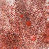 Cosmic Shimmer Pixie Burst Powder - Rusty Red