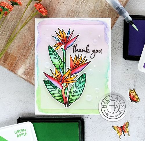 Birds of Paradise Clear Stamp & Die Combo