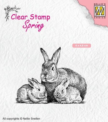 Nellie Snellen • Clear Rabbit Family