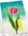 Spark Joy: Blushing Tulip & Add-On Die Bundle