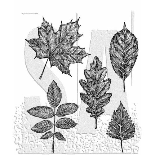 Sketchy Leaves (Cling Set)