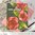 Build-A-Garden: Frilly Begonia & Add-on Die Bundle