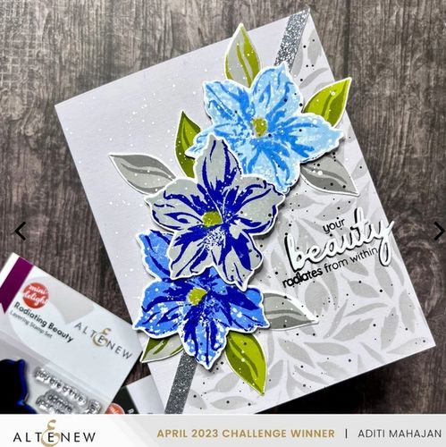 Clear Stamp & Die Set Mini Delight - Mini Radiating Beauty