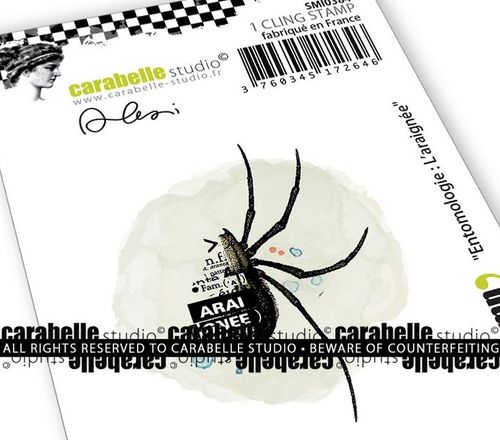 Mini - Entomologie : L’araignée by Alexi