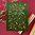 Spellbinders Glimmer Hot Foil Plate & Die Set - De-light-ful Christmas