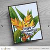 Charming Heliconia Complete Bundle