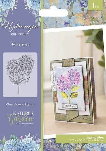 Clear Set Hydrangea