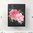 Stanzschablone Craft-A-Flower: April Kiss Camellia