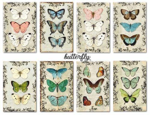 Decorer Butterflies